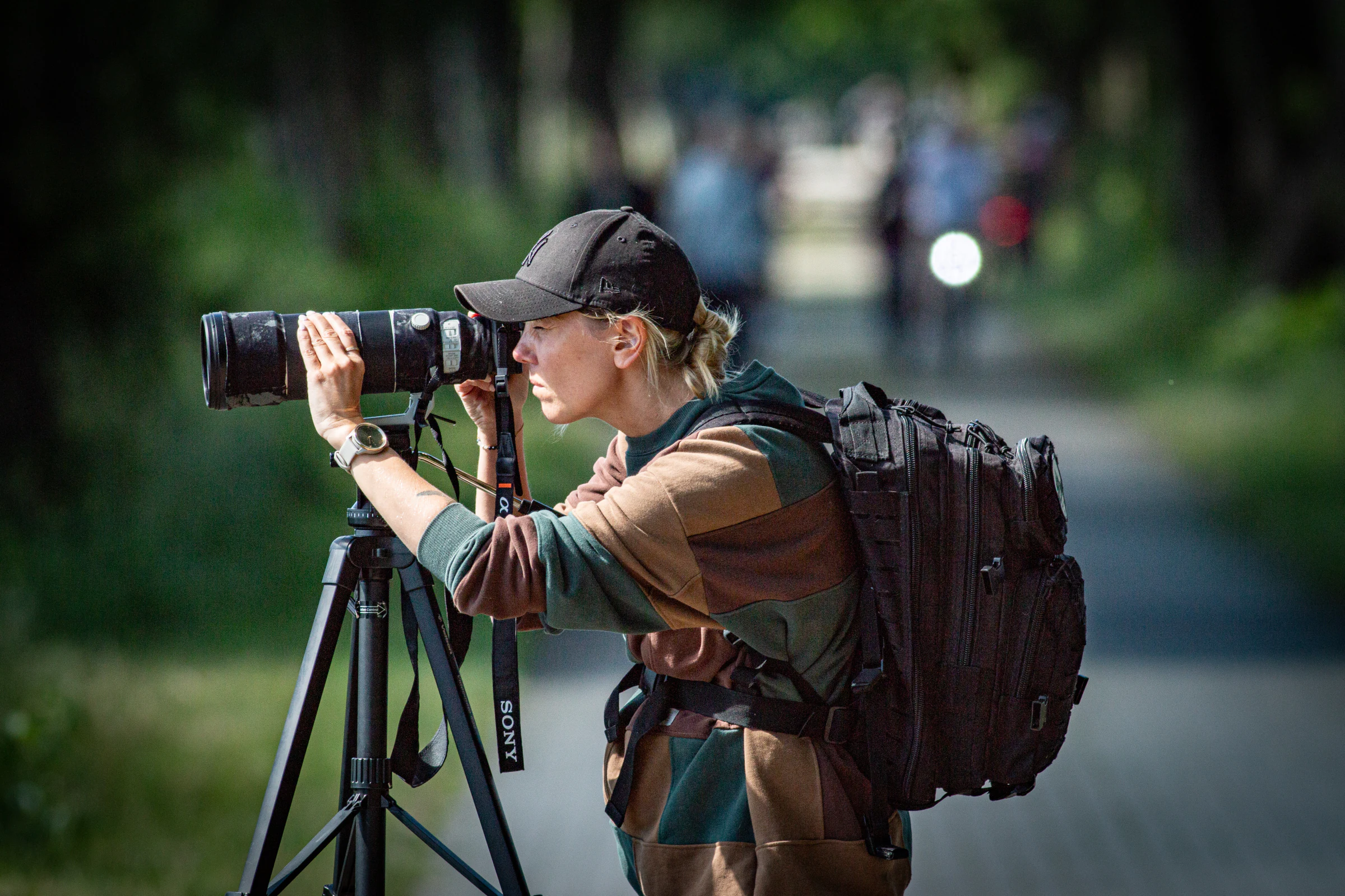 Bird photography during a nature walk